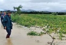 Nông dân Lâm Đồng khẩn trương phục hồi sản xuất sau lũ